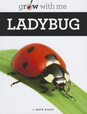 Produktbild: Ladybug