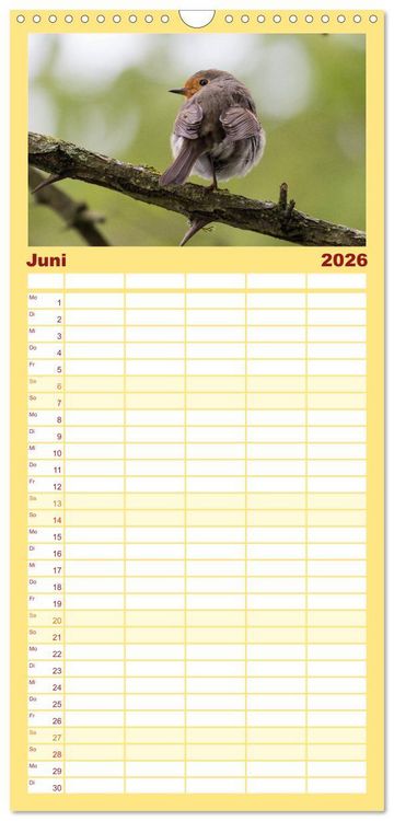 Produktbild: Familienplaner 2026 - Geliebtes Rotkehlchen mit 5 Spalten (Wandkalender, 21 x 45 cm) CALVENDO