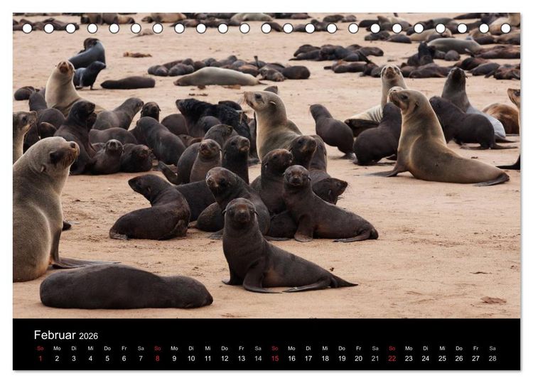 Produktbild: Namibias Tiere: von gro&szlig; bis klein (Tischkalender 2026 DIN A5 quer), CALVENDO Monatskalender