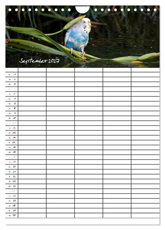 Produktbild: Wellensittiche (Wandkalender 2027 DIN A4 hoch), CALVENDO Monatskalender