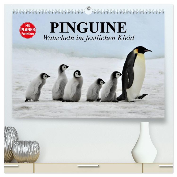 Produktbild: Pinguine - Watscheln im festlichen Kleid (hochwertiger Premium Wandkalender 2026 DIN A2 quer), Kunstdruck in Hochglanz