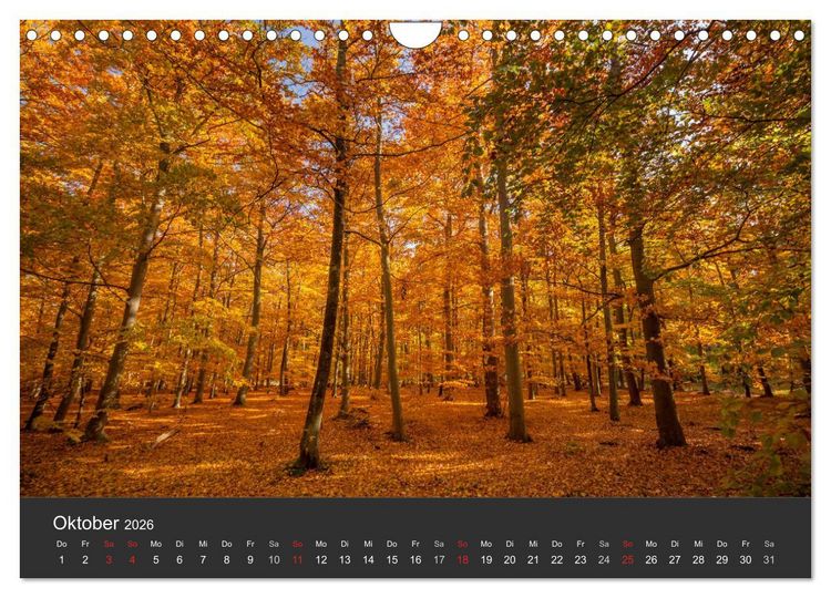 Produktbild: Mecklenburg-Vorpommern (Wandkalender 2026 DIN A4 quer), CALVENDO Monatskalender