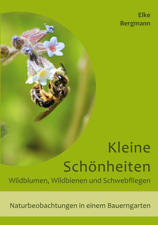 Produktbild: Kleine Sch&ouml;nheiten - Wildblumen, Wildbienen und Schwebfliegen