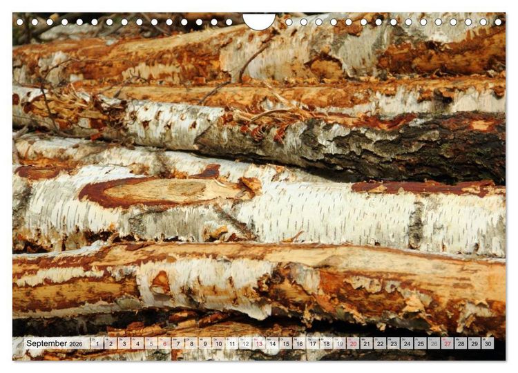 Produktbild: HOLZ - Stapel und St&auml;mme (Wandkalender 2026 DIN A4 quer), CALVENDO Monatskalender