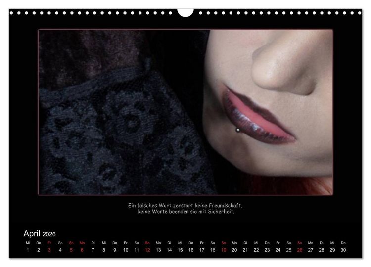 Produktbild: Freundschaft (Wandkalender 2026 DIN A3 quer), CALVENDO Monatskalender