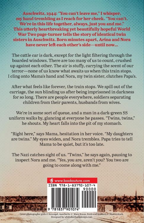 Produktbild: The Stolen Twins