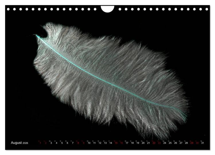 Produktbild: Federleichte Momente (Wandkalender 2026 DIN A4 quer), CALVENDO Monatskalender