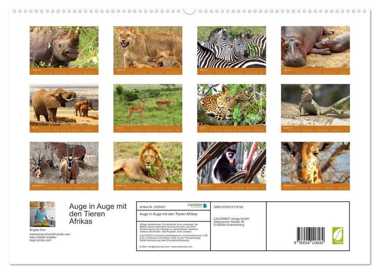 Produktbild: Auge in Auge mit den Tieren Afrikas (hochwertiger Premium Wandkalender 2026 DIN A2 quer), Kunstdruck in Hochglanz