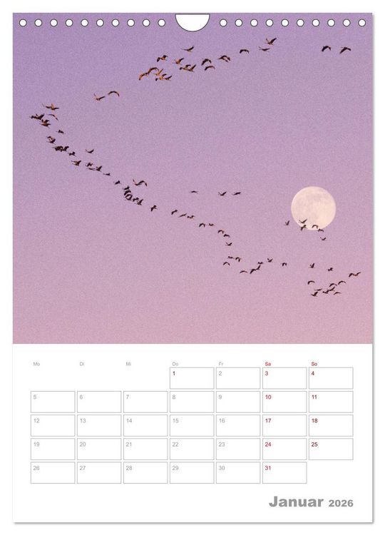Produktbild: VOLLMOND-Planer - Im Licht der Nacht (Wandkalender 2026 DIN A4 hoch), CALVENDO Monatskalender