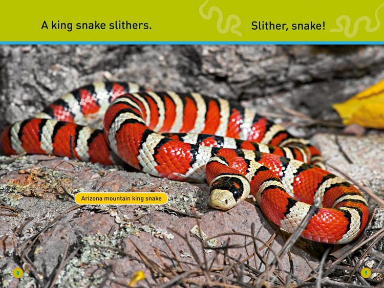 Produktbild: Nat Geo Reader - Slither Snake