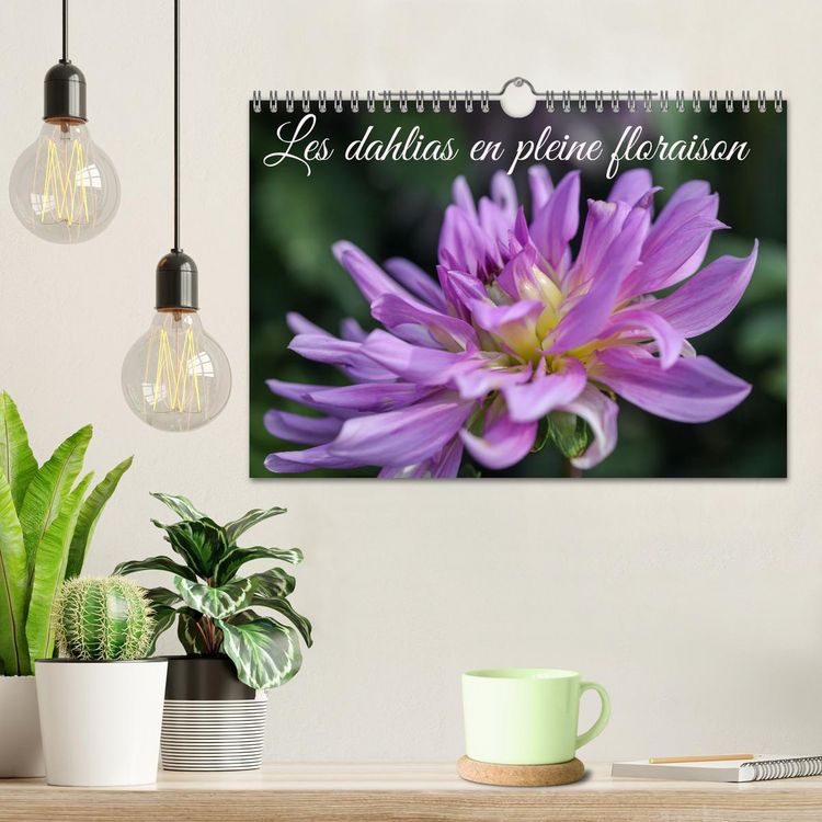 Produktbild: Les Dahlias en pleine floraison (Calendrier mural 2026 DIN A4 vertical), CALVENDO calendrier mensuel