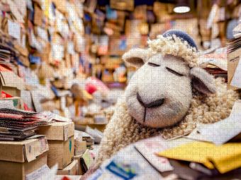 Produktbild: CALVENDO Puzzle Schaf schl&auml;ft friedlich im Paketzentrum Regal | 2000 Teile Lege-Gr&ouml;&szlig;e 90x67cm Foto-Puzzle f&uuml;r gl&uuml;ckliche Stunden