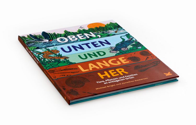 Produktbild: Oben, unten und lange her