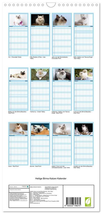 Produktbild: Familienplaner 2026 - Heilige Birma Katzen Kalender mit 5 Spalten (Wandkalender, 21 x 45 cm) CALVENDO