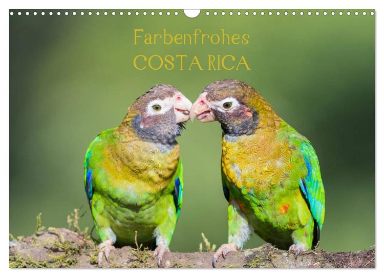 Produktbild: Farbenfrohes Costa Rica (Wandkalender 2026 DIN A3 quer), CALVENDO Monatskalender