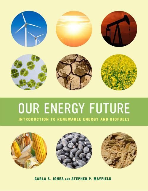 Produktbild: Jones, C: Our Energy Future