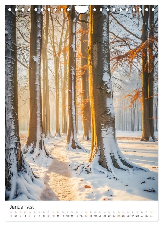 Produktbild: Mystische Pfade (Wandkalender 2026 DIN A4 hoch), CALVENDO Monatskalender