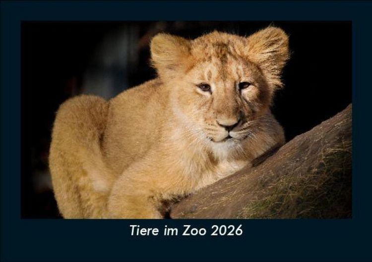 Produktbild: Tiere im Zoo 2026 Fotokalender DIN A5