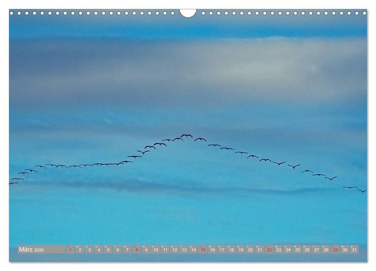 Produktbild: KranichRomantik (Wandkalender 2026 DIN A3 quer), CALVENDO Monatskalender