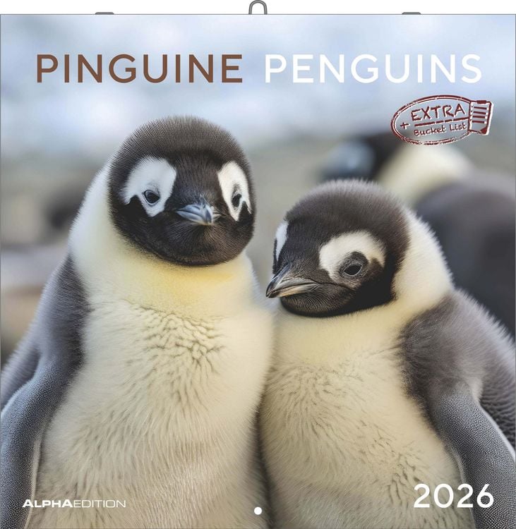 Bild vom Artikel Pinguine 2026 - Broschürenkalender 30x30 cm (30x60 geöffnet) - Kalender mit Platz für Notizen - Penguins - Bildkalender - Wandplaner - Wandkalender vom Autor Alpha Edition