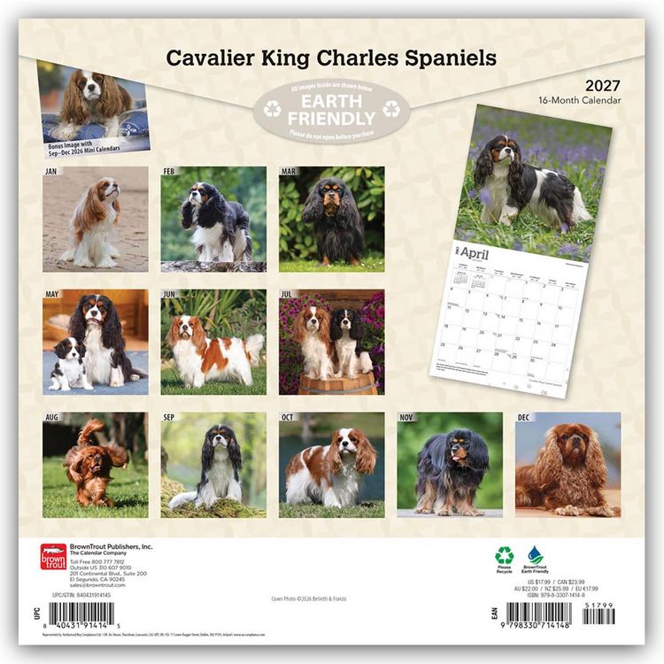 Produktbild: Cavalier King Charles Spaniels 2027 &ndash; 16-Monatskalender