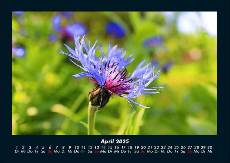 Produktbild: Bilder aus der Natur 2025 Fotokalender DIN A4