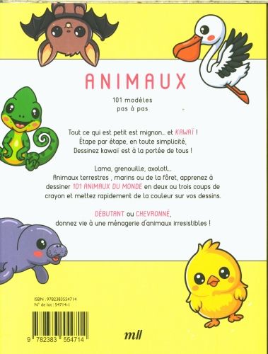 Produktbild: Animaux : dessiner kawa&iuml; : 101 mod&egrave;les pas &agrave; pas