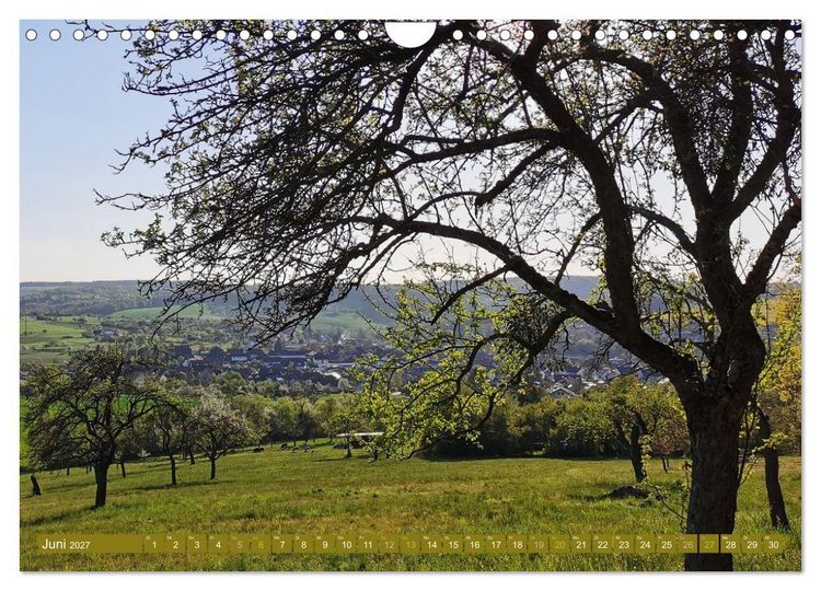 Produktbild: Apfelbaum und Streuobstwiesen (Wandkalender 2027 DIN A4 quer), CALVENDO Monatskalender