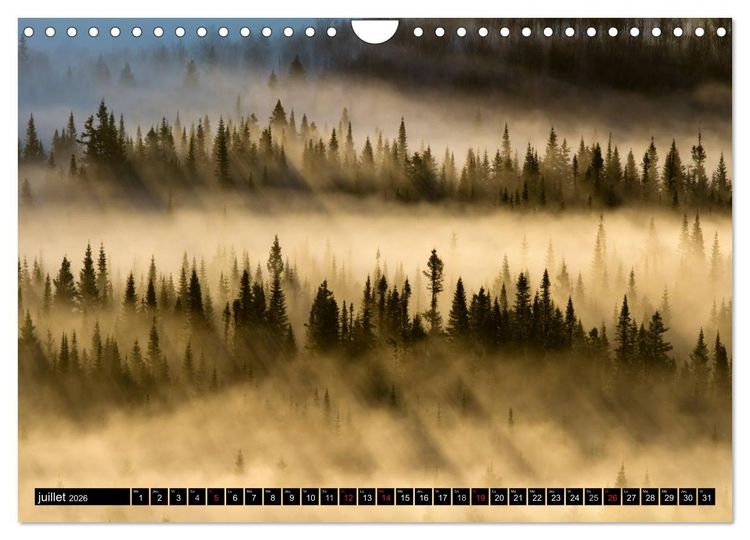 Produktbild: GASP&Eacute;SIE. Parc National du Qu&eacute;bec (Calendrier mural 2026 DIN A4 vertical), CALVENDO calendrier mensuel