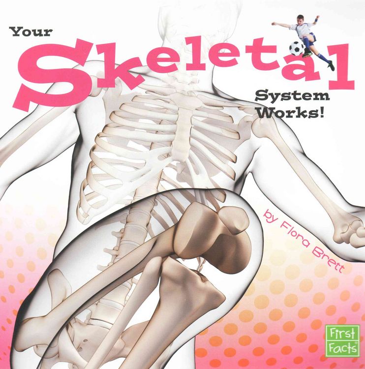 Produktbild: Your Skeletal System Works!