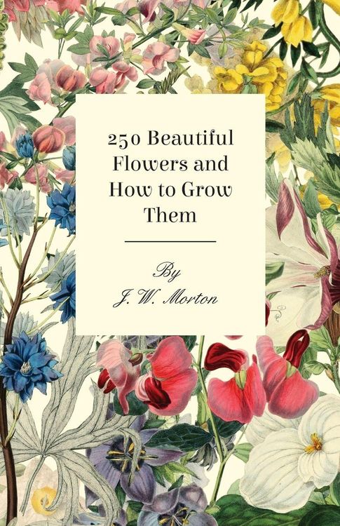 Produktbild: 250 Beautiful Flowers And How To Grow Them
