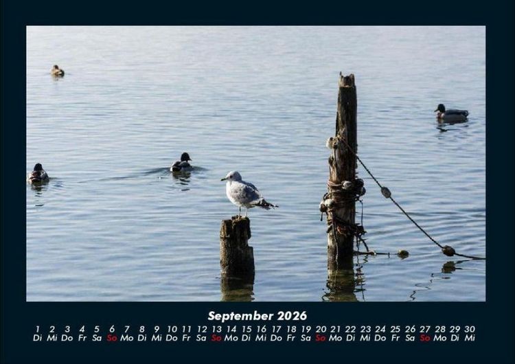 Produktbild: Seeblick 2026 Fotokalender DIN A4