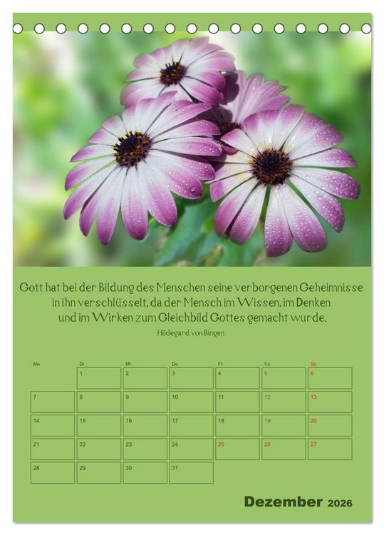 Produktbild: Erkenntnis und Weisheit - Hildegard von Bingen (Tischkalender 2026 DIN A5 hoch), CALVENDO Monatskalender
