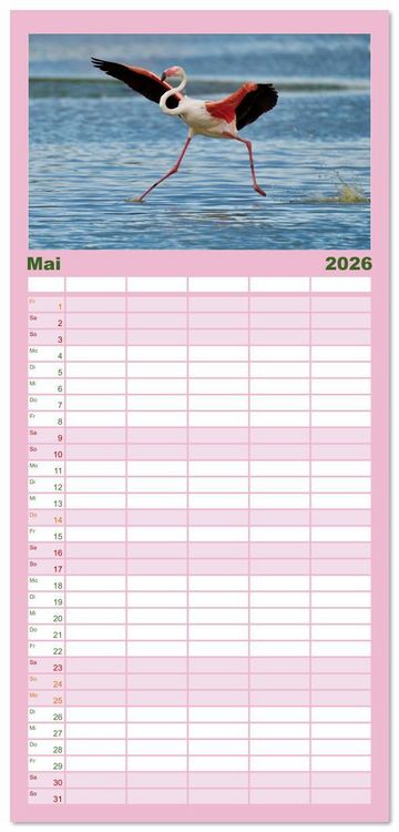 Produktbild: Familienplaner 2026 - The Power Of Pink mit 5 Spalten (Wandkalender, 21 x 45 cm) CALVENDO