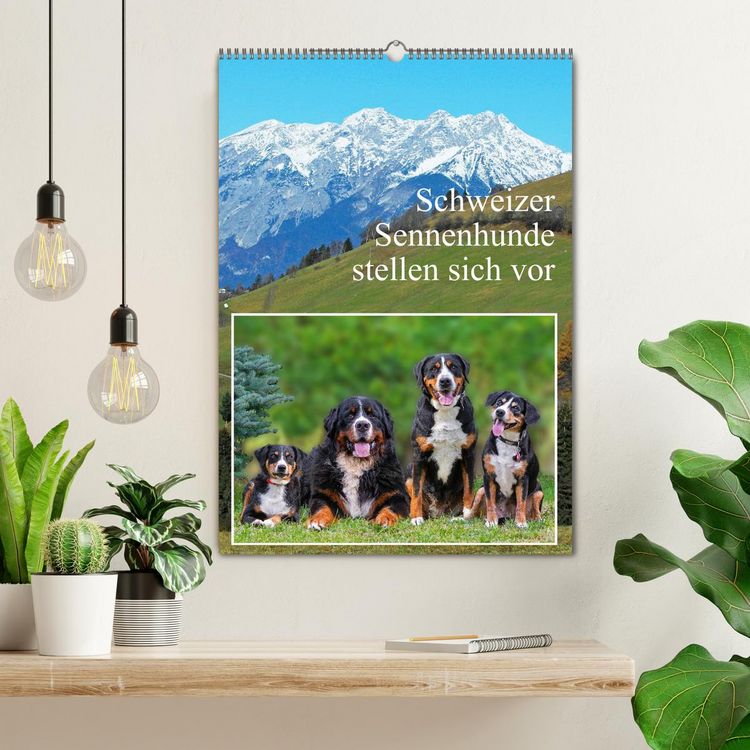 Produktbild: Schweizer Sennenhunde stellen sich vor (Wandkalender 2026 DIN A2 hoch), CALVENDO Monatskalender