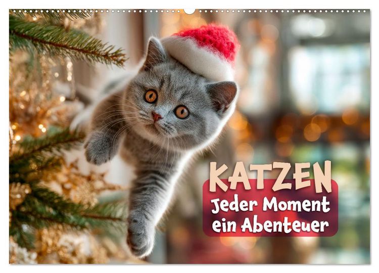 Produktbild: Katzen - Jeder Moment ein Abenteuer (Wandkalender 2027 DIN A2 quer), CALVENDO Monatskalender
