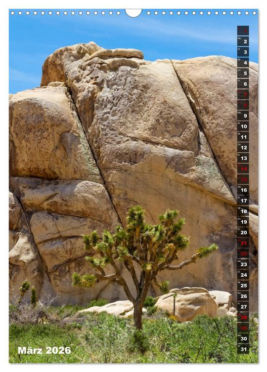 Produktbild: Impressionen aus dem JOSHUA TREE NATIONAL PARK (Wandkalender 2026 DIN A3 hoch), CALVENDO Monatskalender