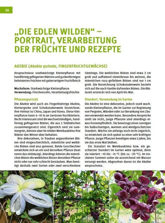 Produktbild: Besondere Obstarten