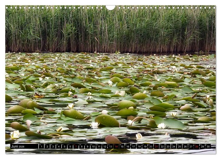 Produktbild: Mecklenburgische Seenplatte - zum Tr&auml;umen sch&ouml;n (Wandkalender 2026 DIN A3 quer), CALVENDO Monatskalender