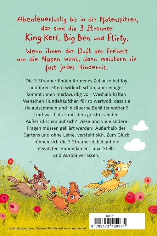 Produktbild: 3 Streuner wittern das Abenteuer