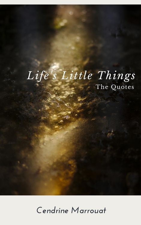 Produktbild: Life's Little Things: The Quotes