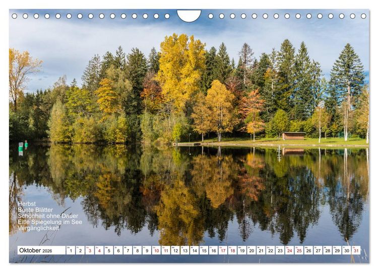 Produktbild: Mit Elfchen durch das Jahr (Wandkalender 2026 DIN A4 quer), CALVENDO Monatskalender