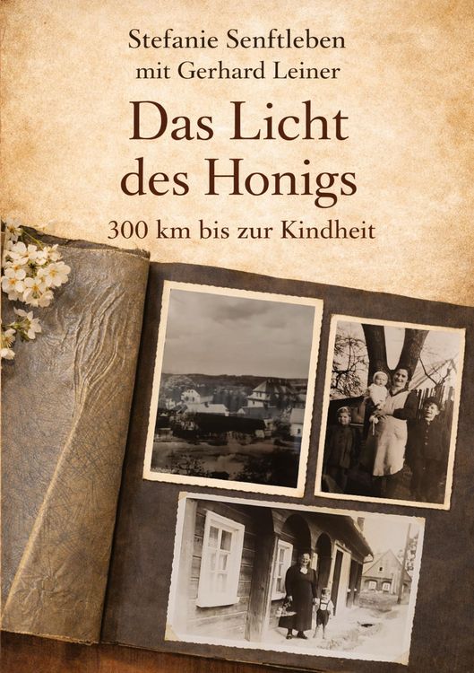 Produktbild: Das Licht des Honigs