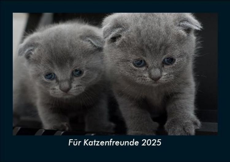 Produktbild: F&uuml;r Katzenfreunde 2025 Fotokalender DIN A5