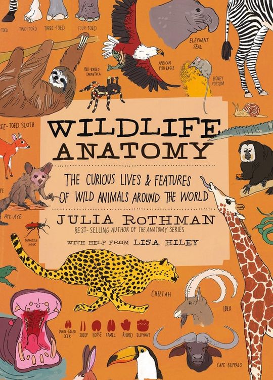 Produktbild: Wildlife Anatomy