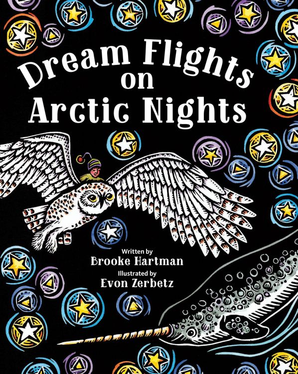 Produktbild: Dream Flights on Arctic Nights