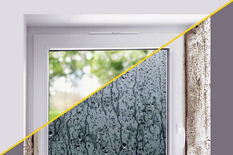 Produktbild: Schellenberg 46600 Universal-Fensterl&uuml;fter Wei&szlig;