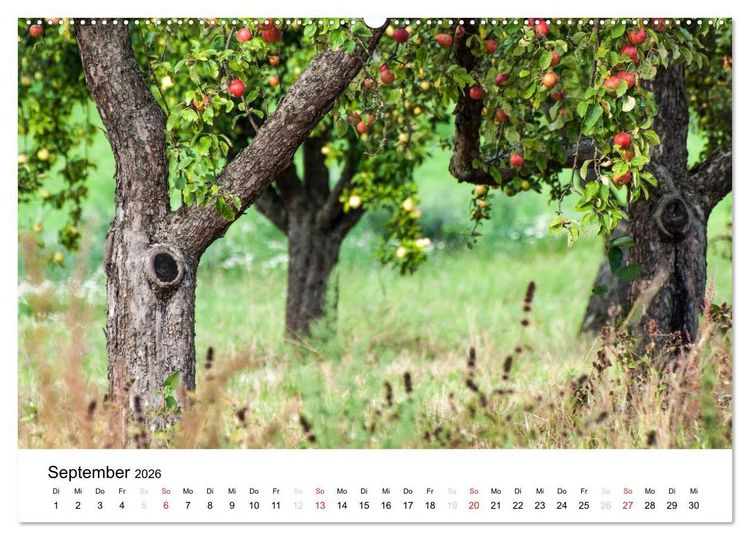 Produktbild: Impressionen aus Kernen im Remstal (hochwertiger Premium Wandkalender 2026 DIN A2 quer), Kunstdruck in Hochglanz