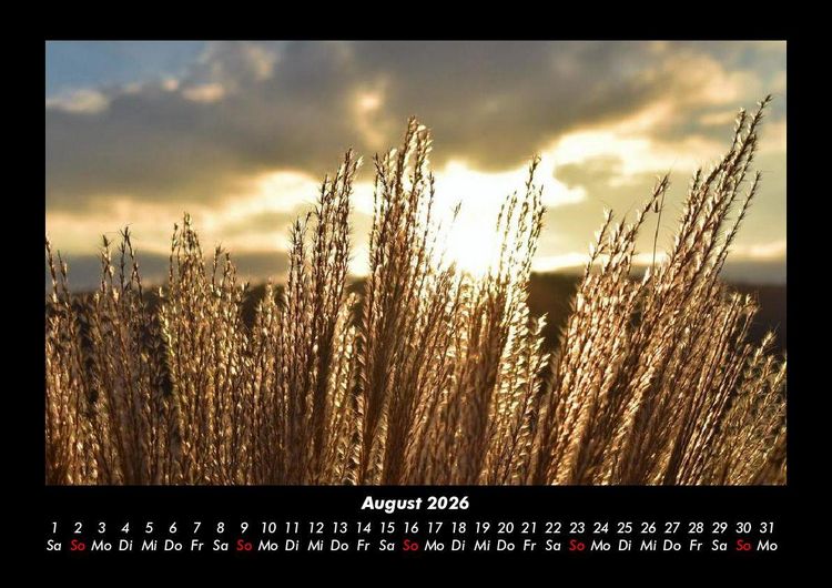 Produktbild: Bilder der Natur 2026 Fotokalender DIN A3