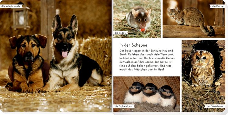 Produktbild: Meine liebsten Tiere auf dem Bauernhof
